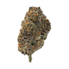 Lemon Cherry Gelato