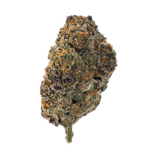 Lemon Cherry Gelato